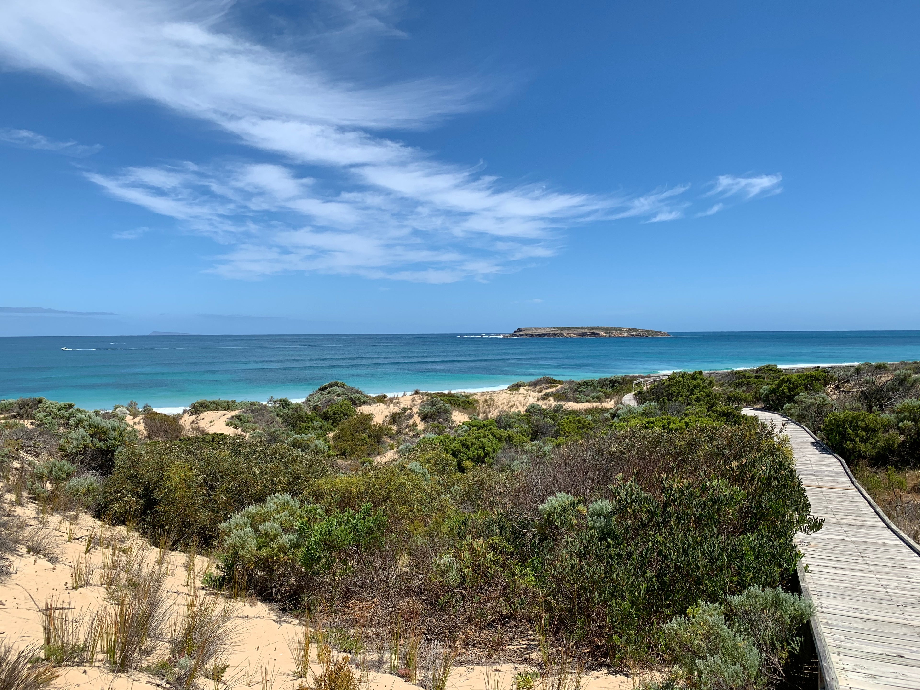 Point de vue d'une plage en Australie avec végétations, plage paradisiaque et eau turquoise.